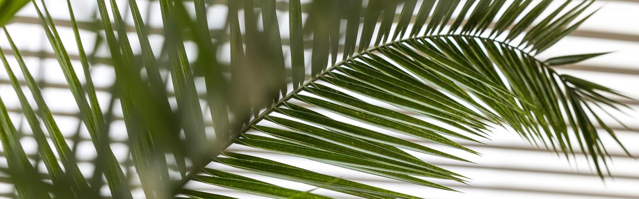 Hotel Abaca Messidor